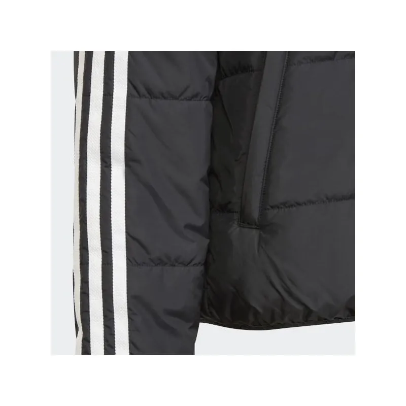 Giubbino Adidas  Adicolor Padded Bambino