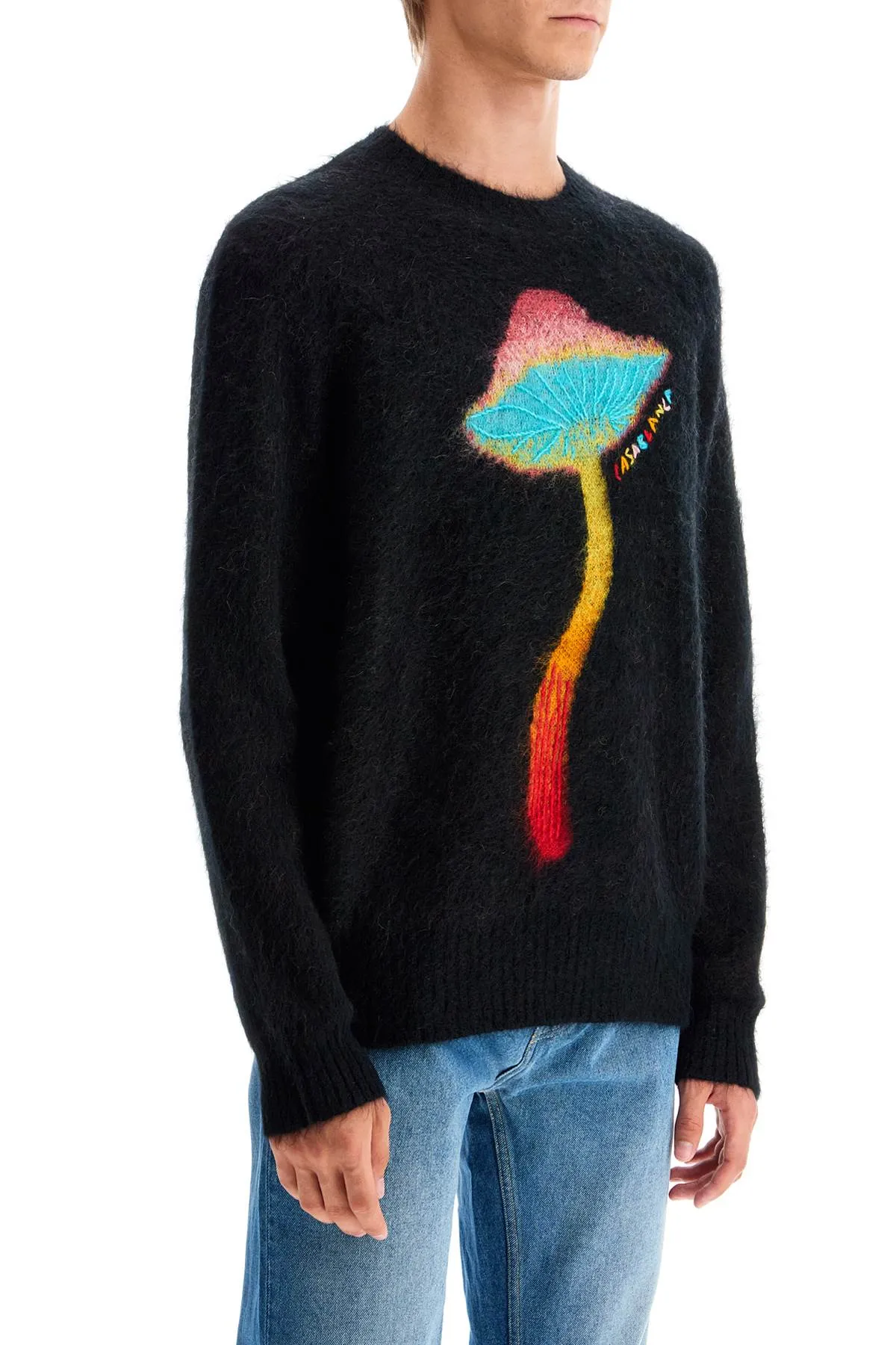 Maglione di funghi arcobaleno Casablanca