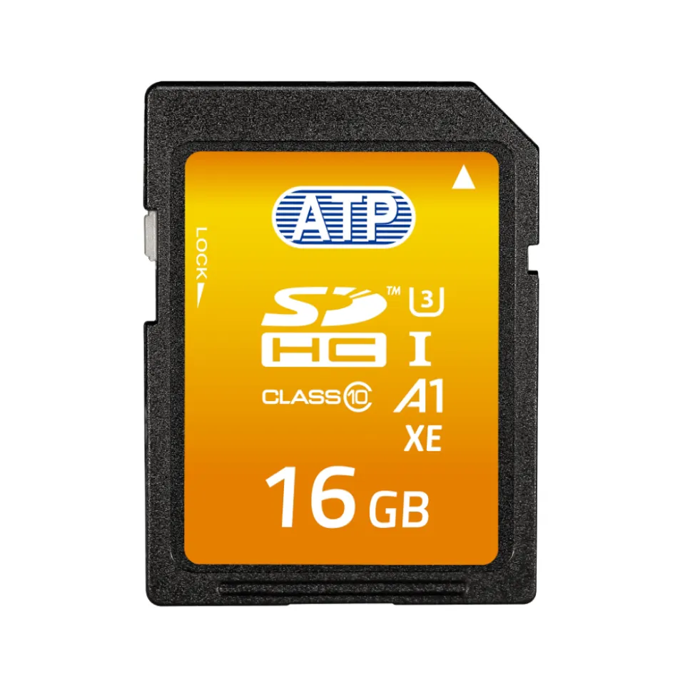 Scheda SD ATP, 16 GB, Scheda SDHC